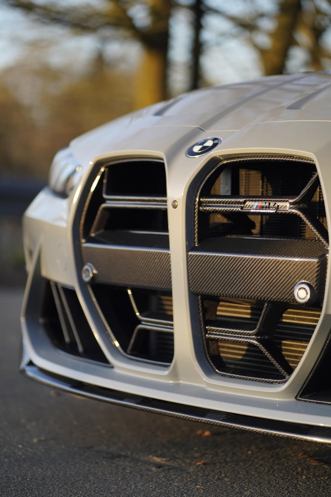 BMW G80 G81 G82 G83 Carbon Frontgrill